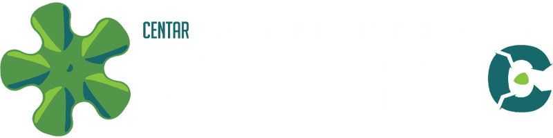 Disk